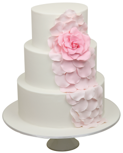 Wedding cake PNG-19447